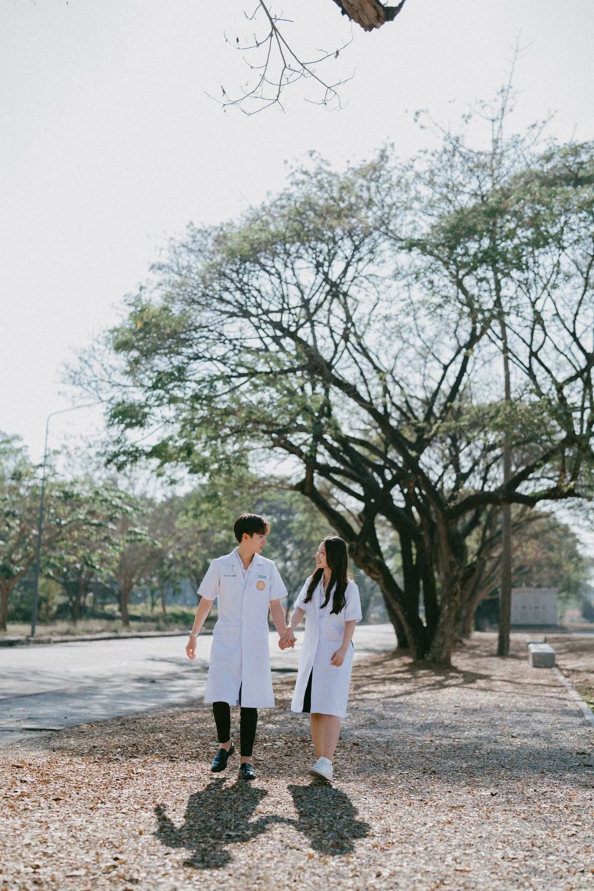 2568-01-02-nokyung-donut/196248159885f4ea