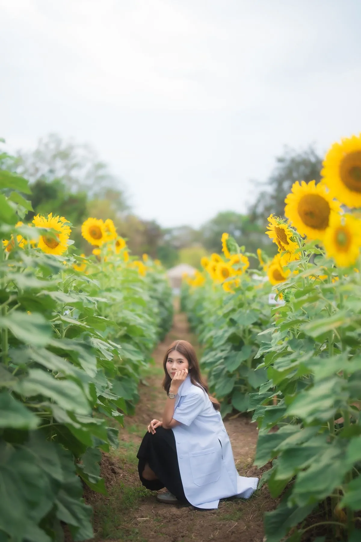 2569-02-26-numtan/bc4381ae1d6c73ed