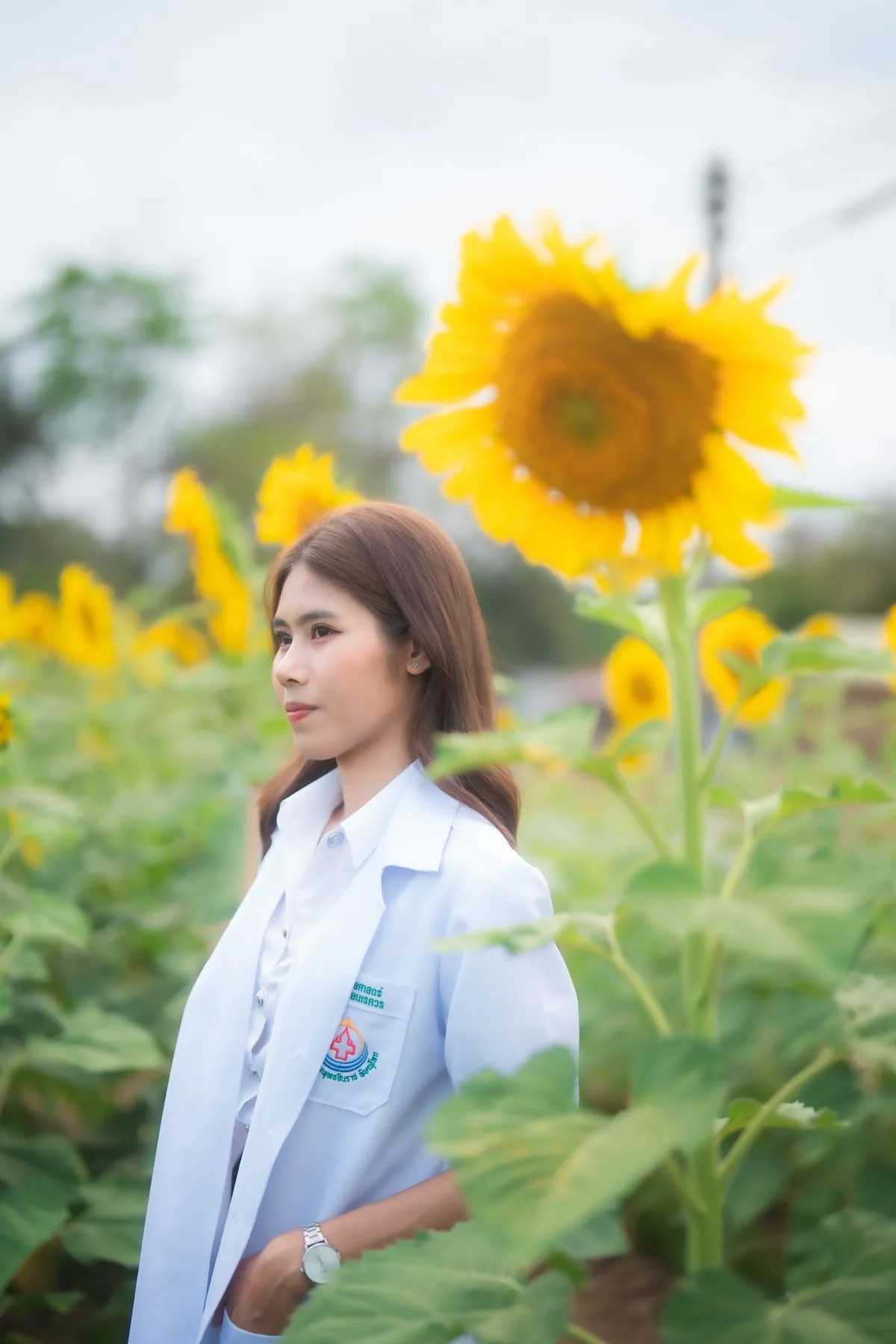 2569-02-26-numtan/bdc177991bbcaa55