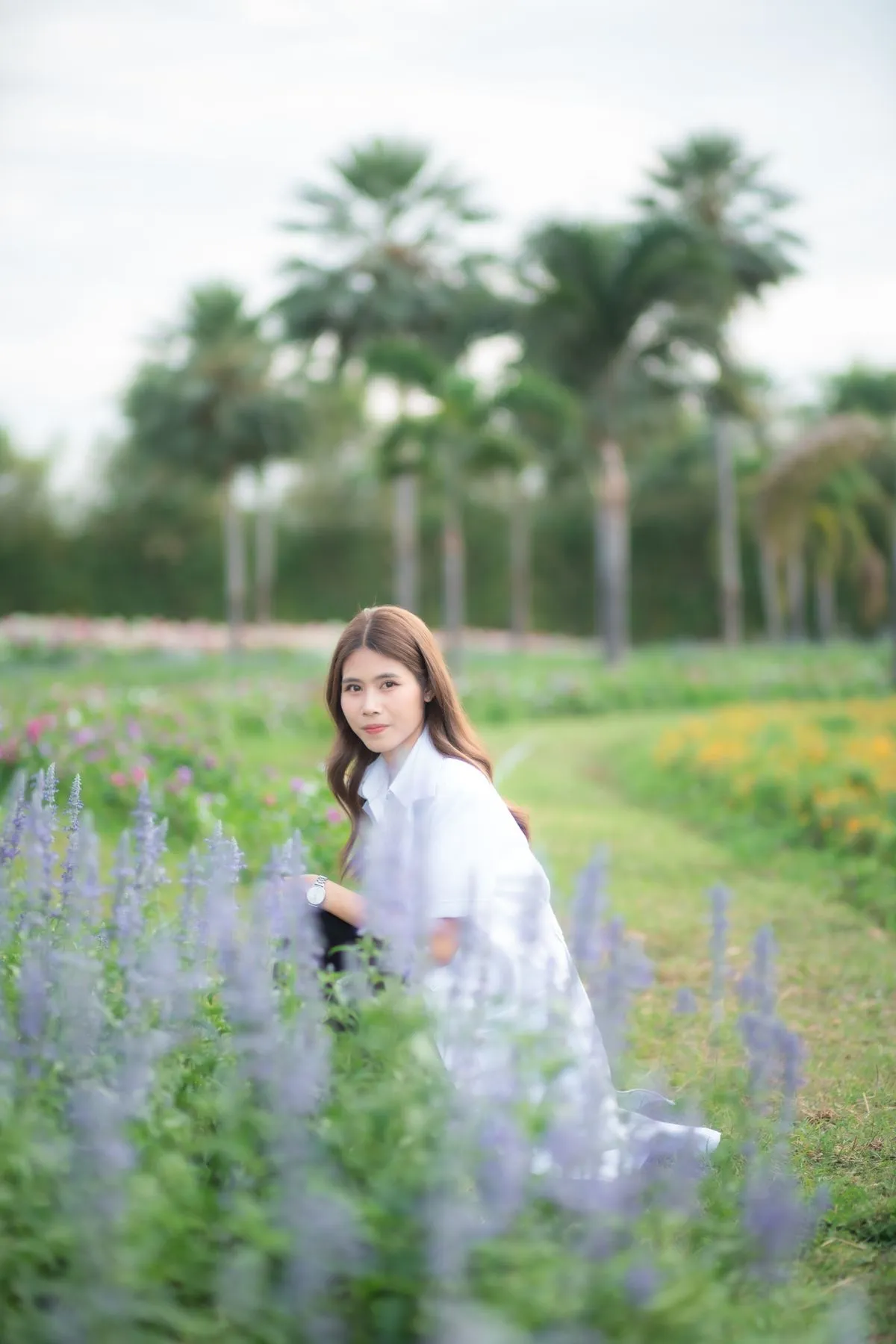 2569-02-26-numtan/f675379e2a3b2238